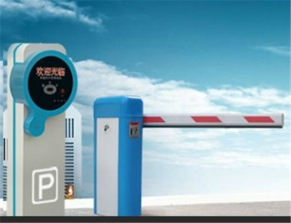 ͣ܇������